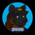Profile picture jakkal.bsky.social