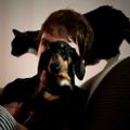 Profile picture ryanjpage.bsky.social