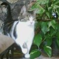Profile picture amyjo3.bsky.social