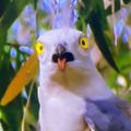 Profile picture derpybird.bsky.social