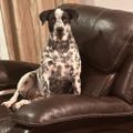 Profile picture annieonti.bsky.social