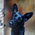 Profile picture ladyw.bsky.social
