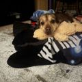 Profile picture colleen81.bsky.social