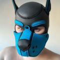 Profile picture pupleopixel.bsky.social