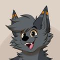 Profile picture shadowfox1998.bsky.social