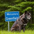 Profile picture greenfarms.bsky.social