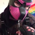 Profile picture yourpupluv.bsky.social