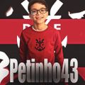 Profile picture petinho43.bsky.social
