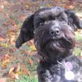 Profile picture tellitall.bsky.social