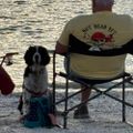 Profile picture davidicw.bsky.social