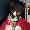 Profile picture jojoking.bsky.social