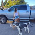 Profile picture nettarenee.bsky.social