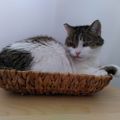 Profile picture maggieker.bsky.social