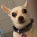 Profile picture qmbridges.bsky.social