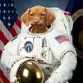 Profile picture luckypants.bsky.social