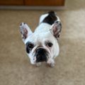 Profile picture uwmoose23.bsky.social