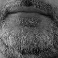 Profile picture naturelbientasse.bsky.social