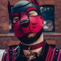 Profile picture pupmarmalade.bsky.social
