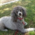 Profile picture tammymeis.bsky.social