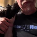 Profile picture naimasdad.bsky.social