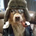 Profile picture j-a-r-v-s.bsky.social