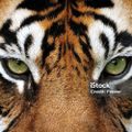 Profile picture diana-61.bsky.social