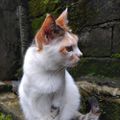 Profile picture jasminenuelle18.bsky.social