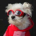 Profile picture cristianvlad.bsky.social