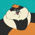 Profile picture bigbirdmedoh.bsky.social