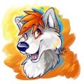 Profile picture wolfwithdances.bsky.social