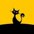 Profile picture yesimcim.bsky.social