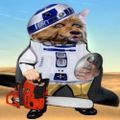 Profile picture mikerobial.bsky.social