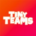 Profile picture tinyteamsfest.bsky.social
