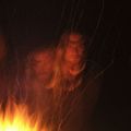 Profile picture vonjeglichemwort.bsky.social