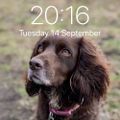 Profile picture kingy1234.bsky.social