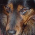 Profile picture rmathematicus.bsky.social