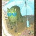 Profile picture catcha2012.bsky.social
