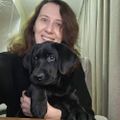 Profile picture animalrescuebrazil.bsky.social