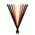 Profile picture vertaix.bsky.social