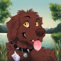 Profile picture ed.dog