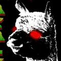 Profile picture big-alpacalypse.bsky.social