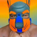Profile picture pupcubby.bsky.social