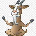 Profile picture b-goatgruff.bsky.social