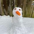 Profile picture popcorn-pan.bsky.social