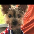 Profile picture patiositter.bsky.social