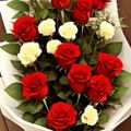 Profile picture florancebrunell.bsky.social