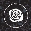 Profile picture blanze.bsky.social