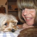 Profile picture patricebrost.bsky.social