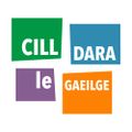Profile picture cilldaralegaeilge.bsky.social