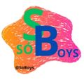Profile picture sobooys.bsky.social